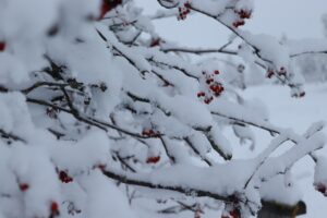 Photo Snowy mountains